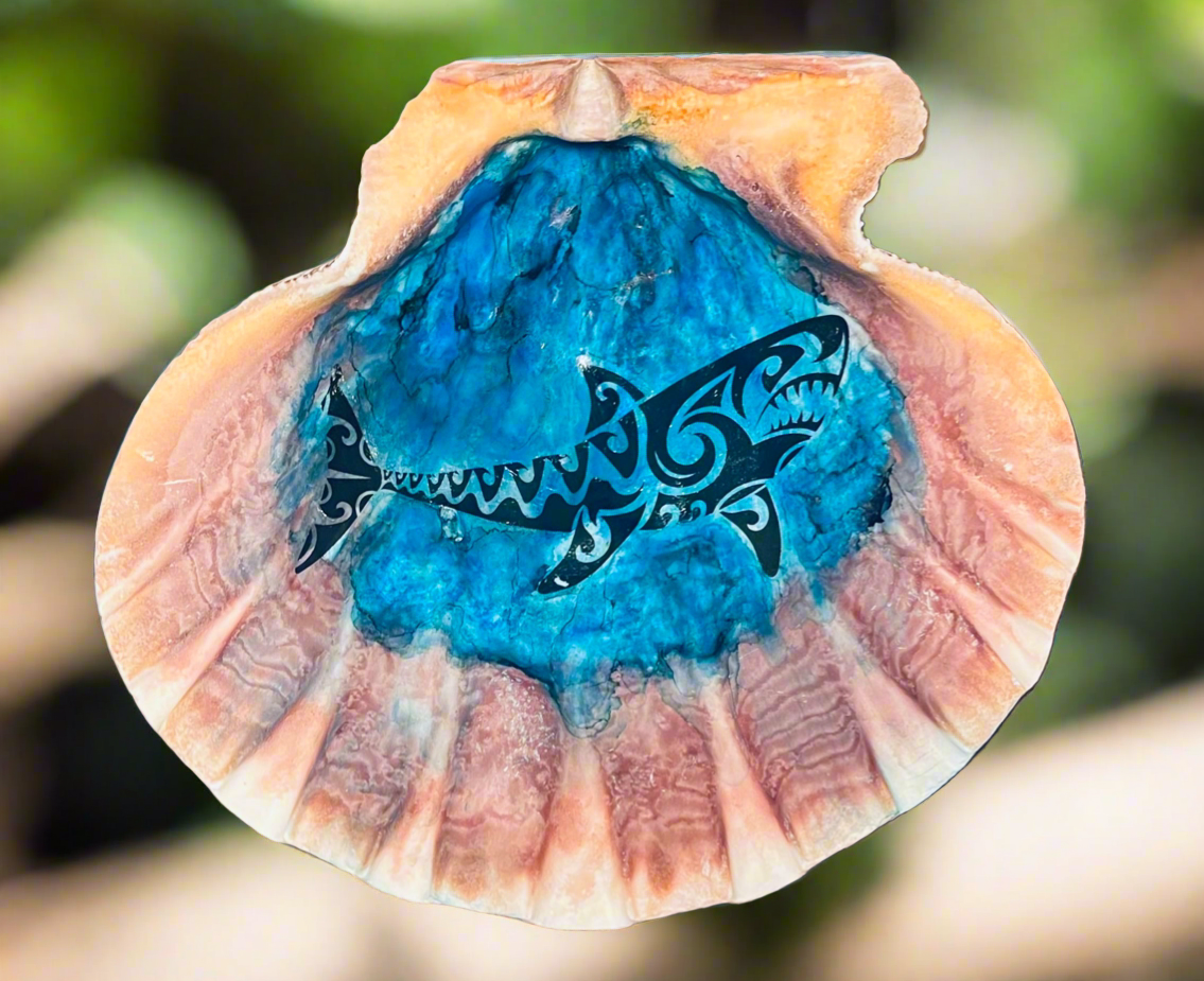 Shark Shell Art