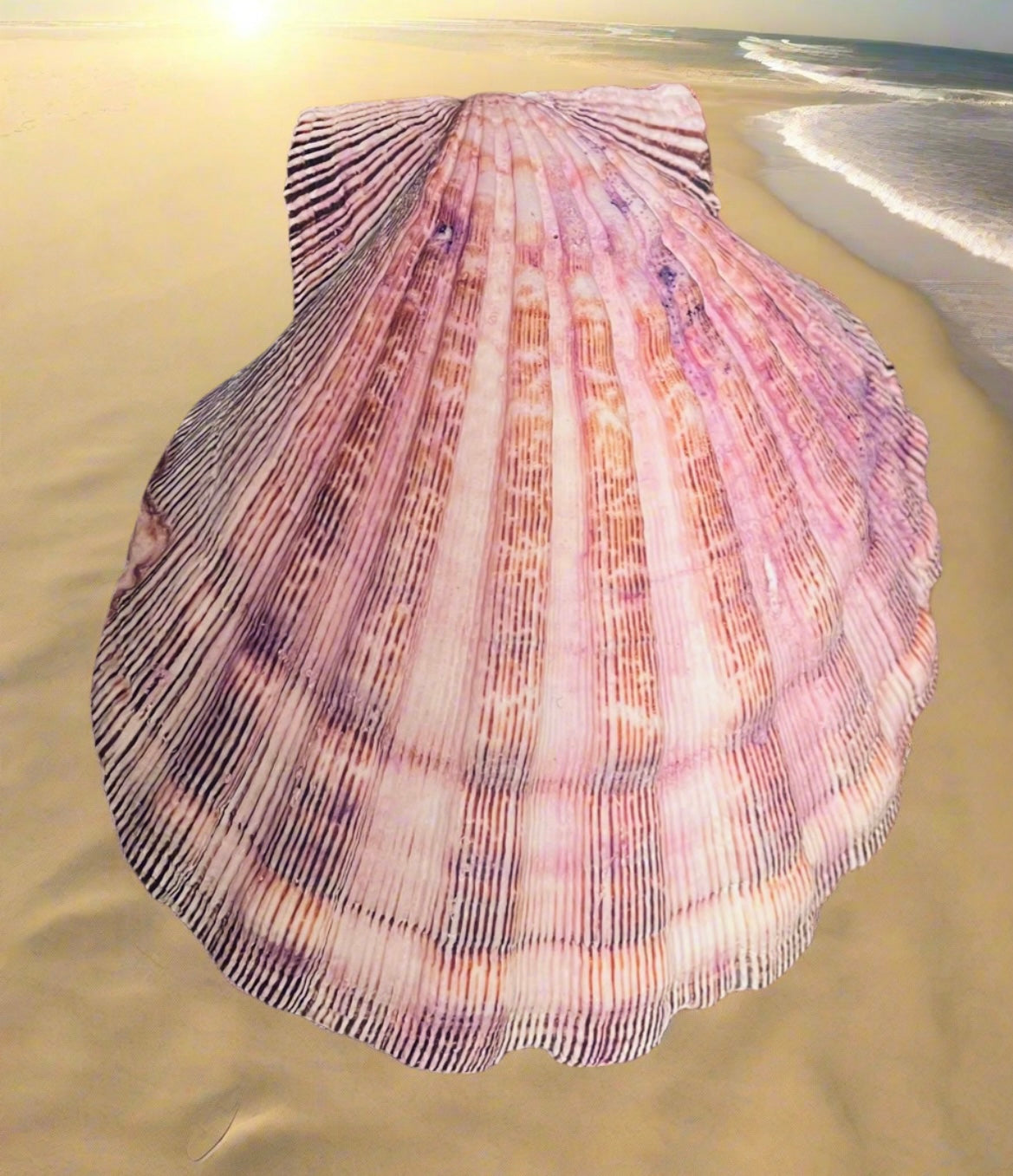 Set of 3 Purple Shell Art for Dawndra