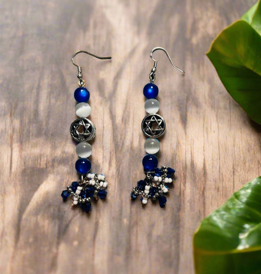 Support Israel Dangle Earrings