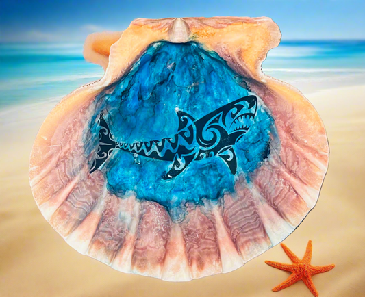 Shark Shell Art