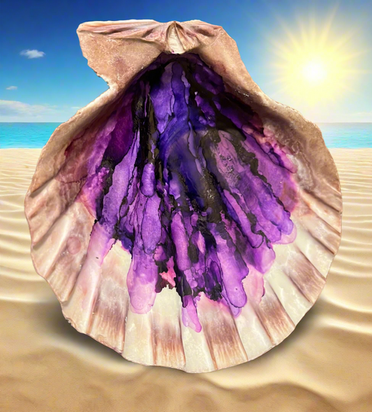 Purple Shell Art