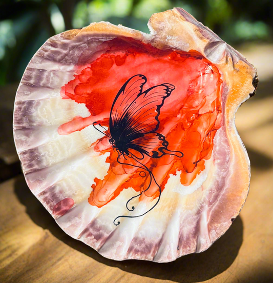 Butterfly Shell Art 3