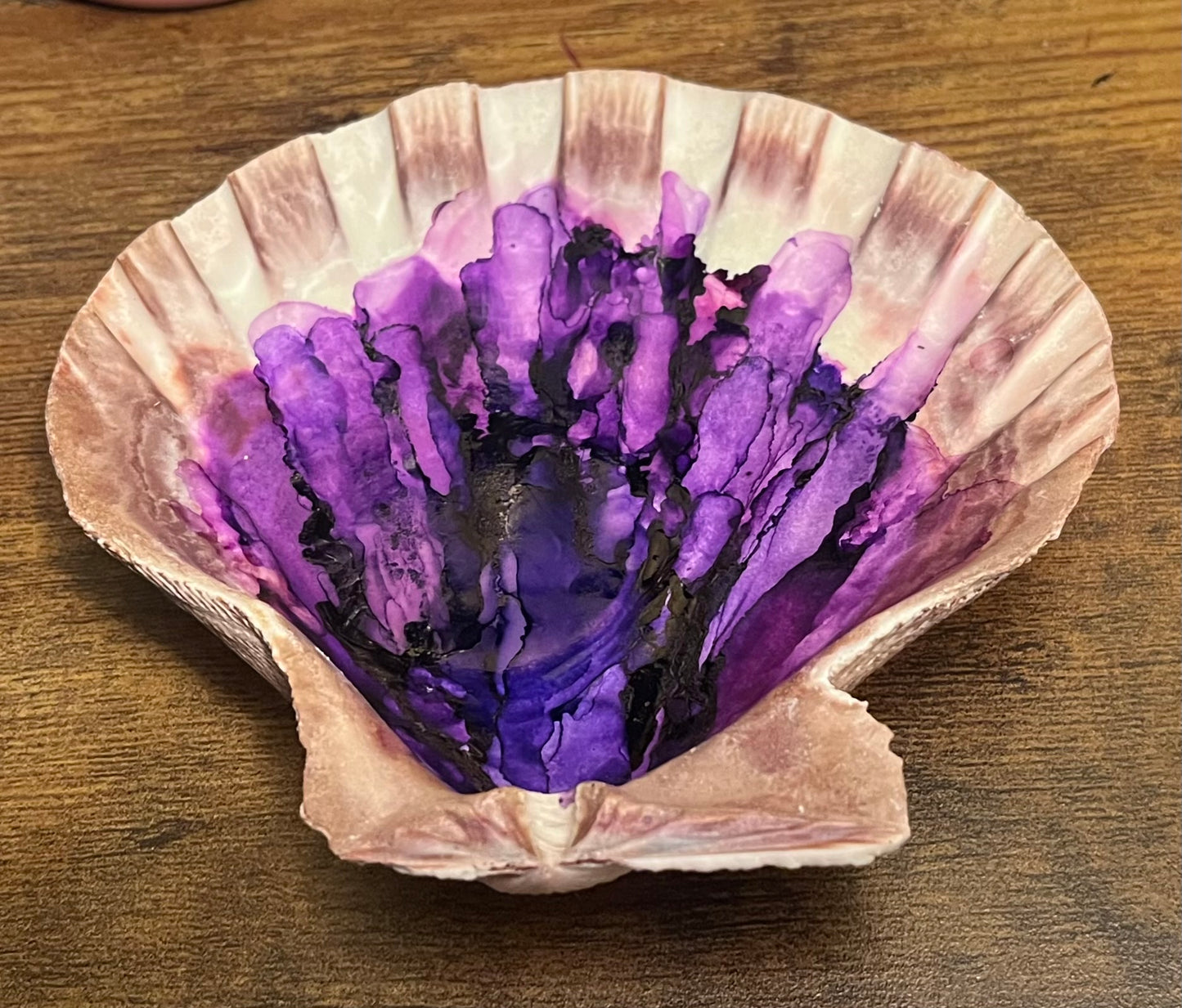 Purple Shell Art