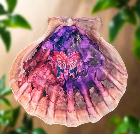 Butterfly Shell Art